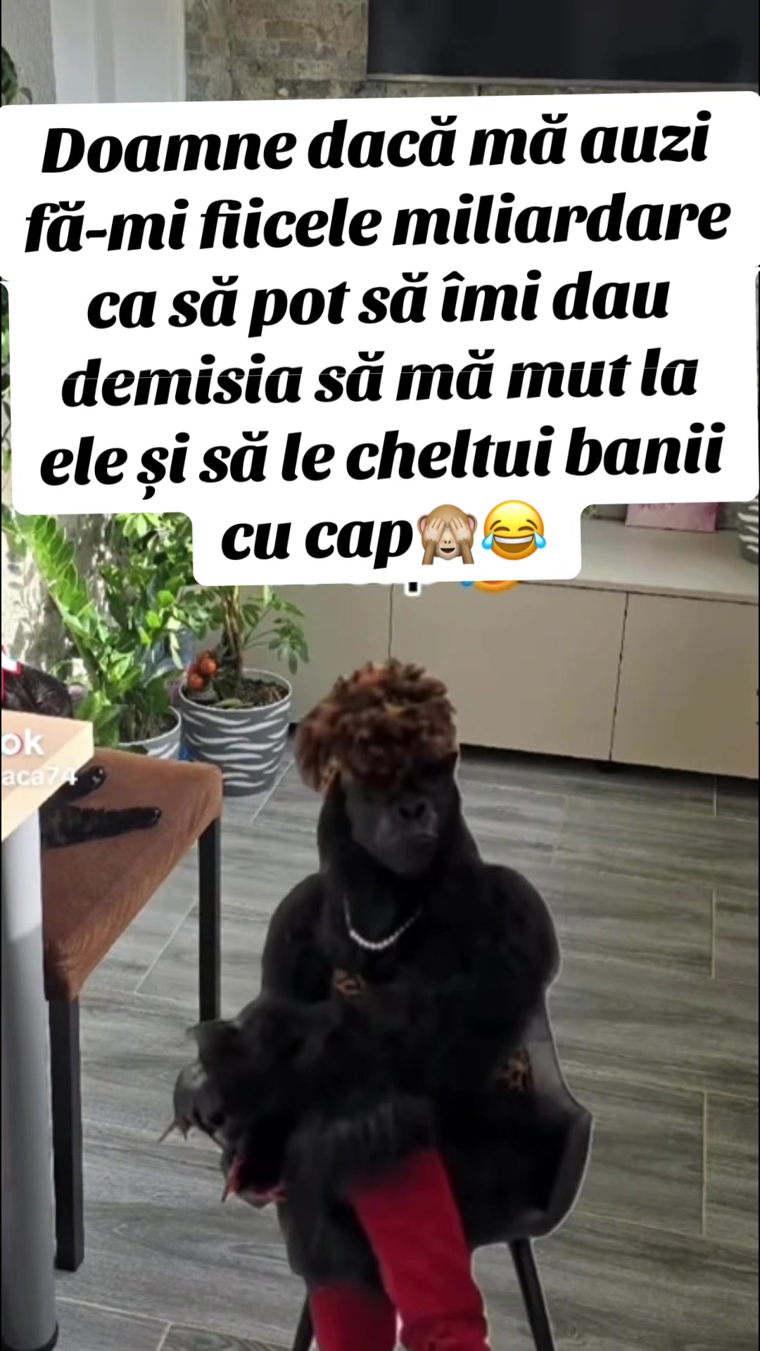 @FeliciaMoldoveanca77