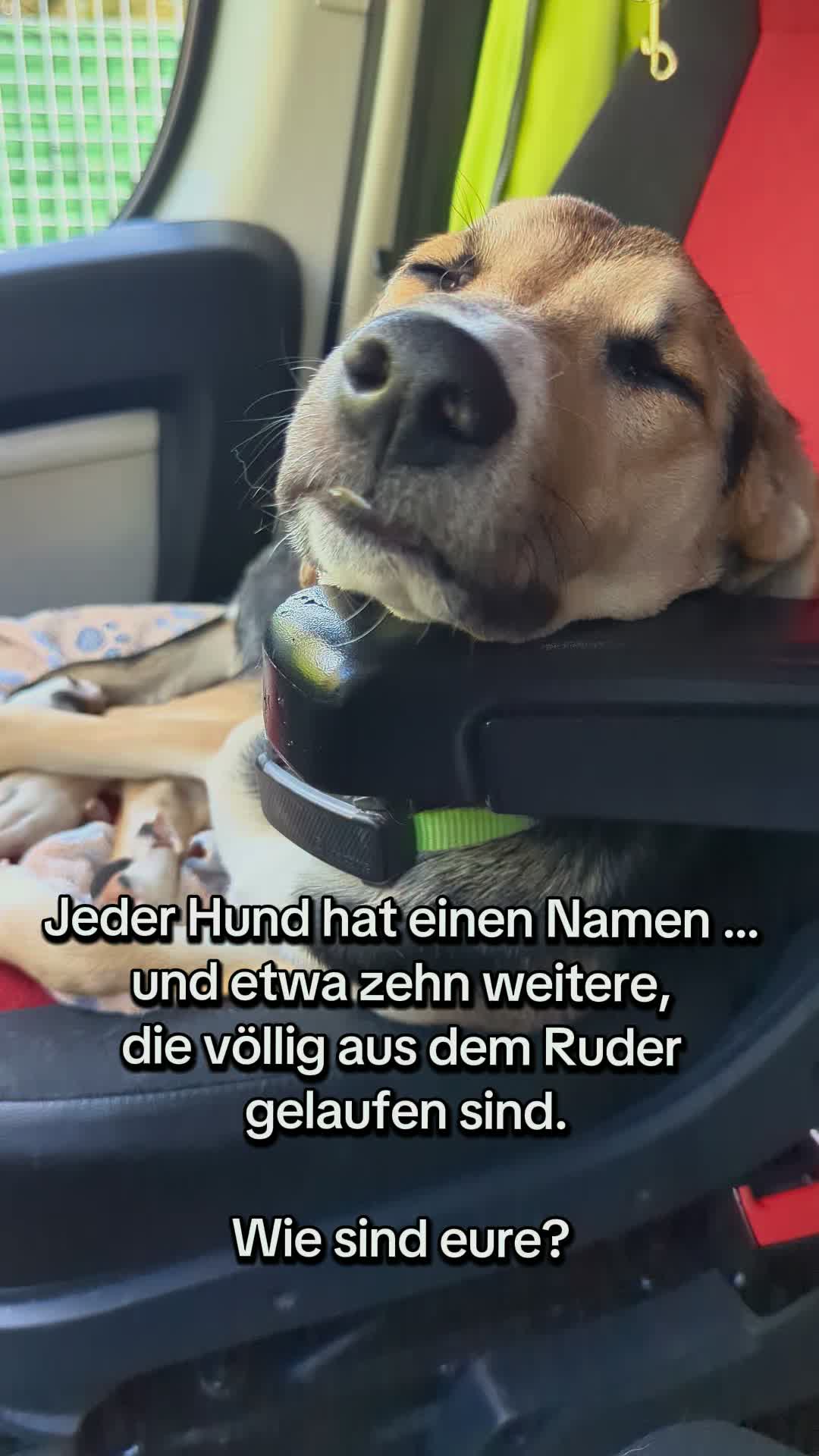 @ꪑⅈꪶꪖ ꪑꪮꪀᥴꫝꫝⅈᥴꫝⅈ