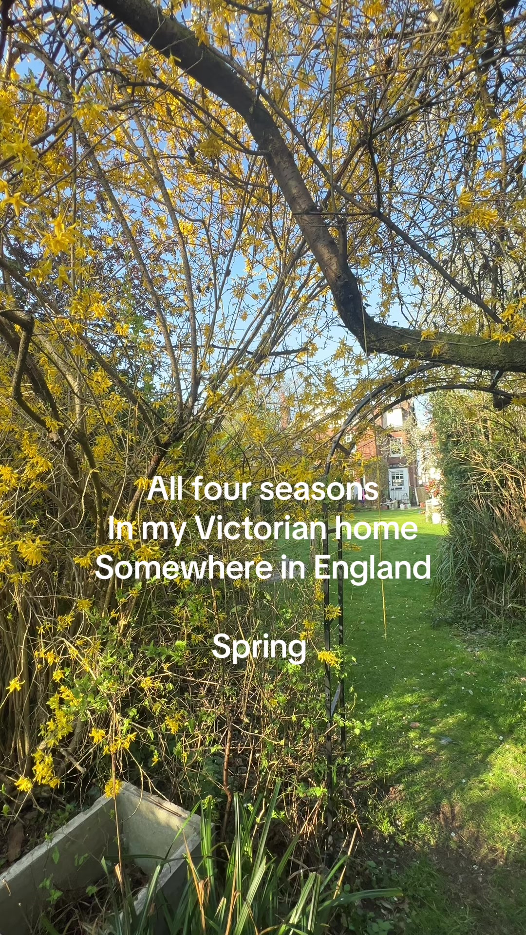 @Victorian House Jules