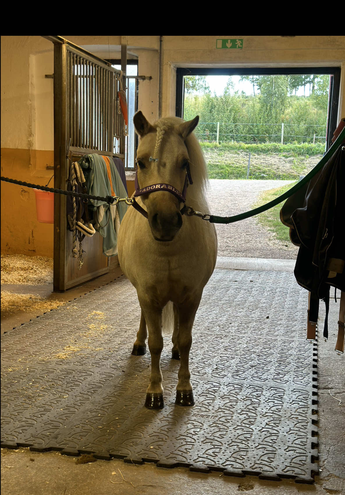 @Linn Helander 🌸