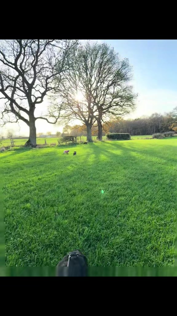 @Emma&rsquo;s Dog Walking