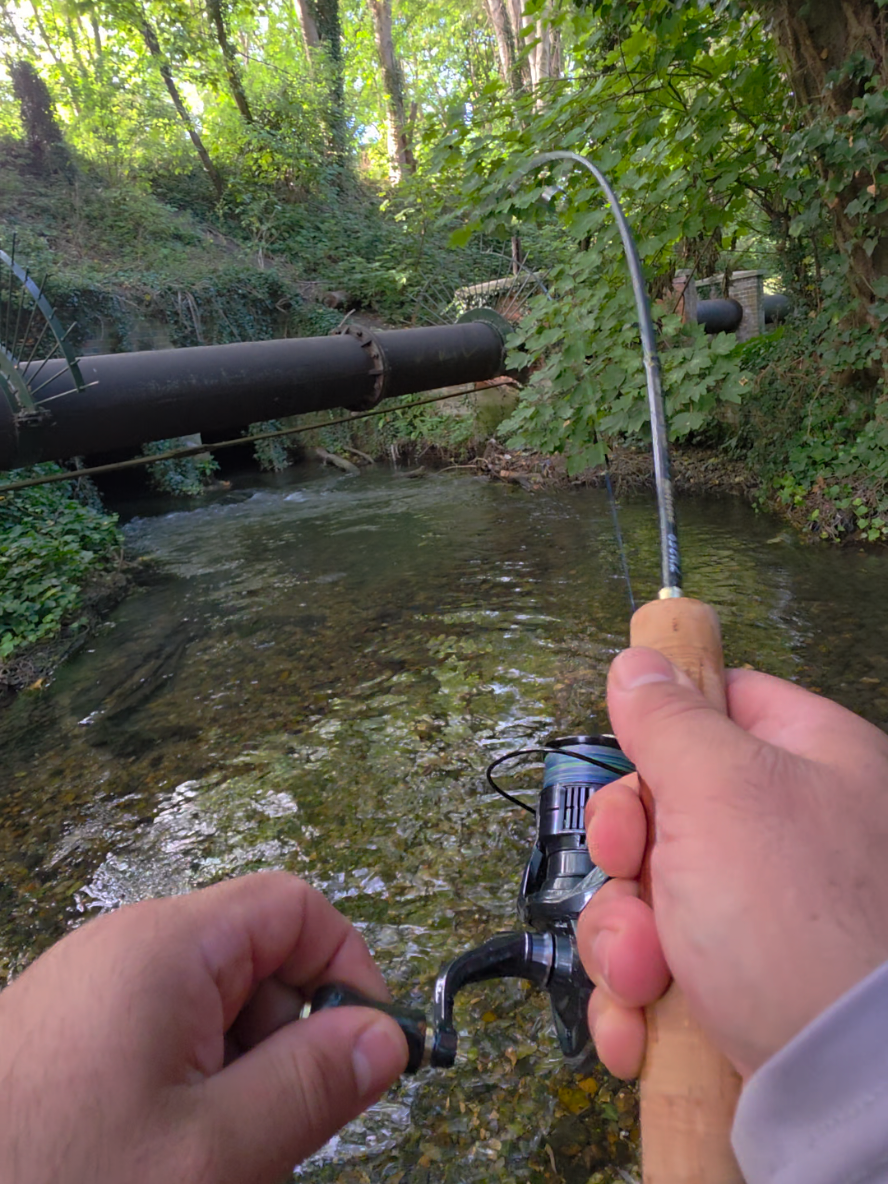 @BF Angler