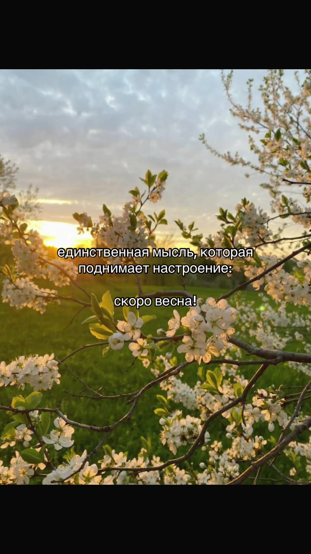 @repostikk__