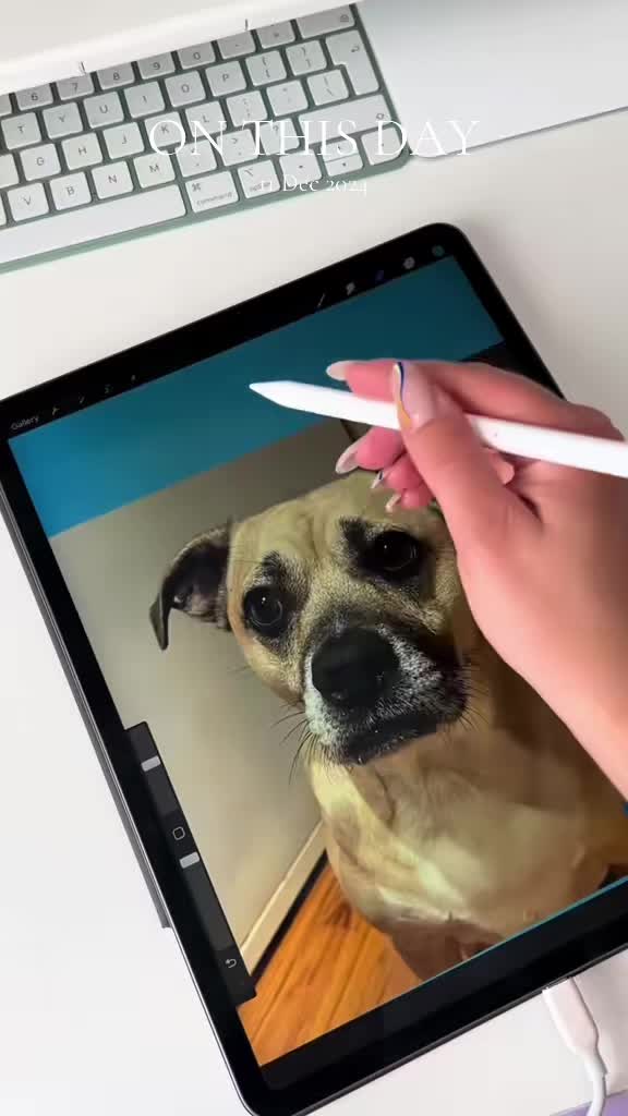 @Digi Doggo
