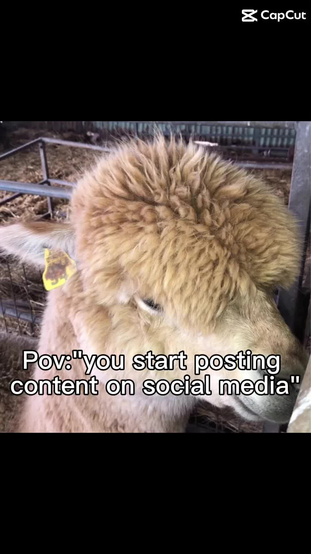 @NorbertBacon