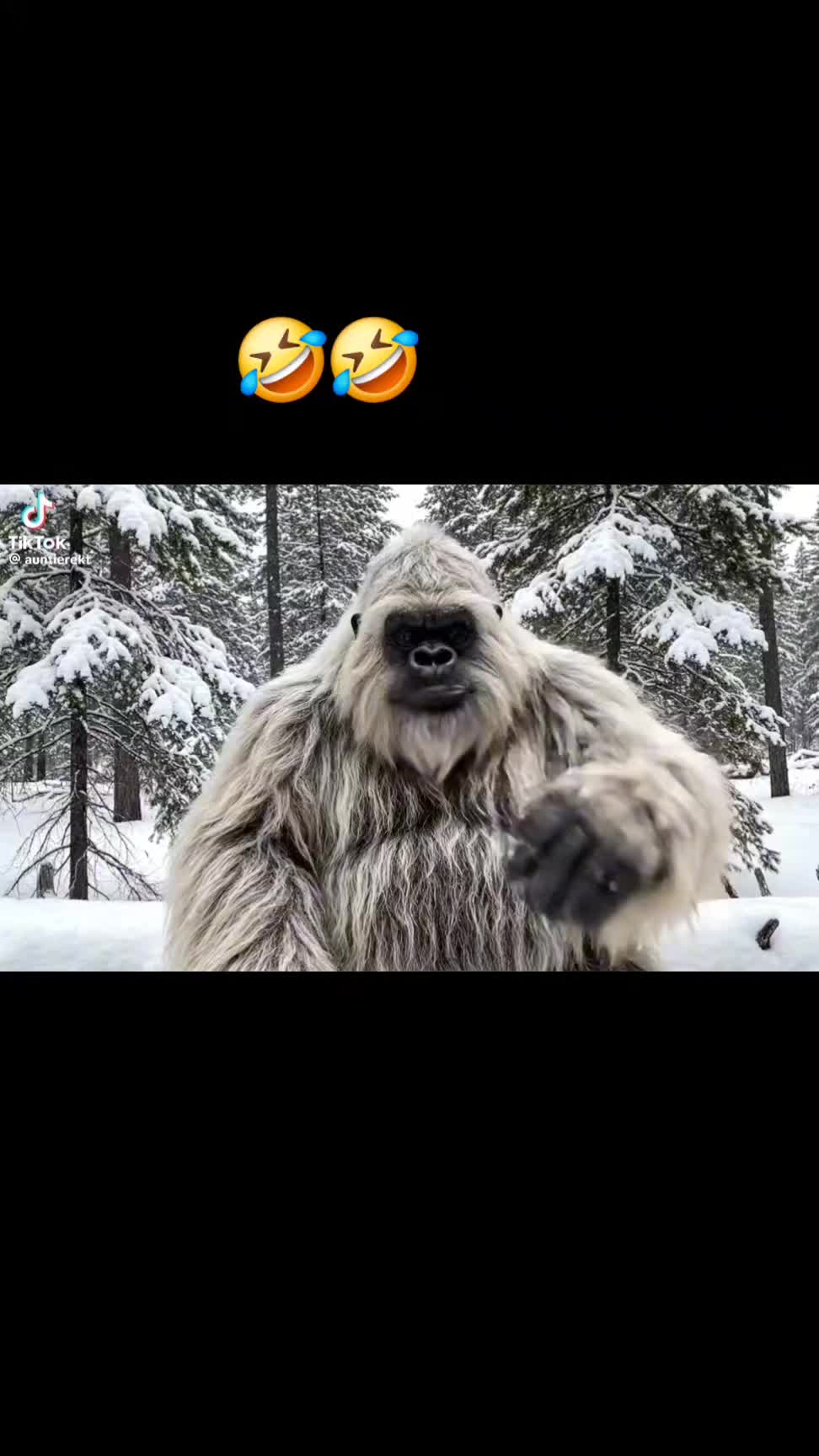 @LOL Videos