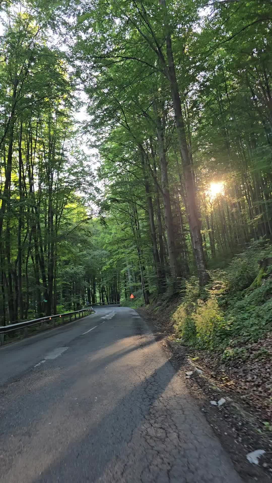 @Cristina Ioana Pașca