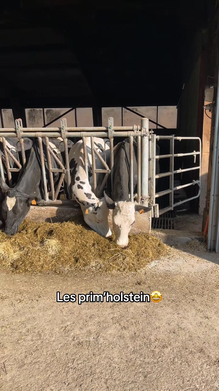 @🌾j'aime pas les veganes 🌾