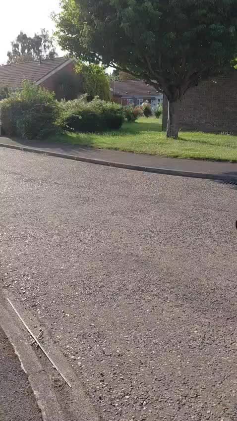 @markannison866