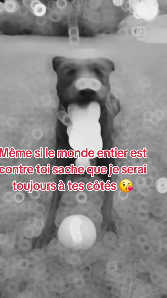 @✨️NICOLAS✨️