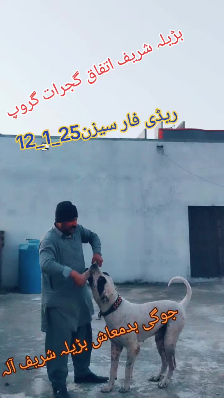 @Buhtto Gujjar