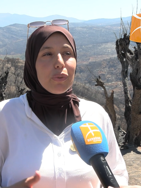 @Berberetelevision
