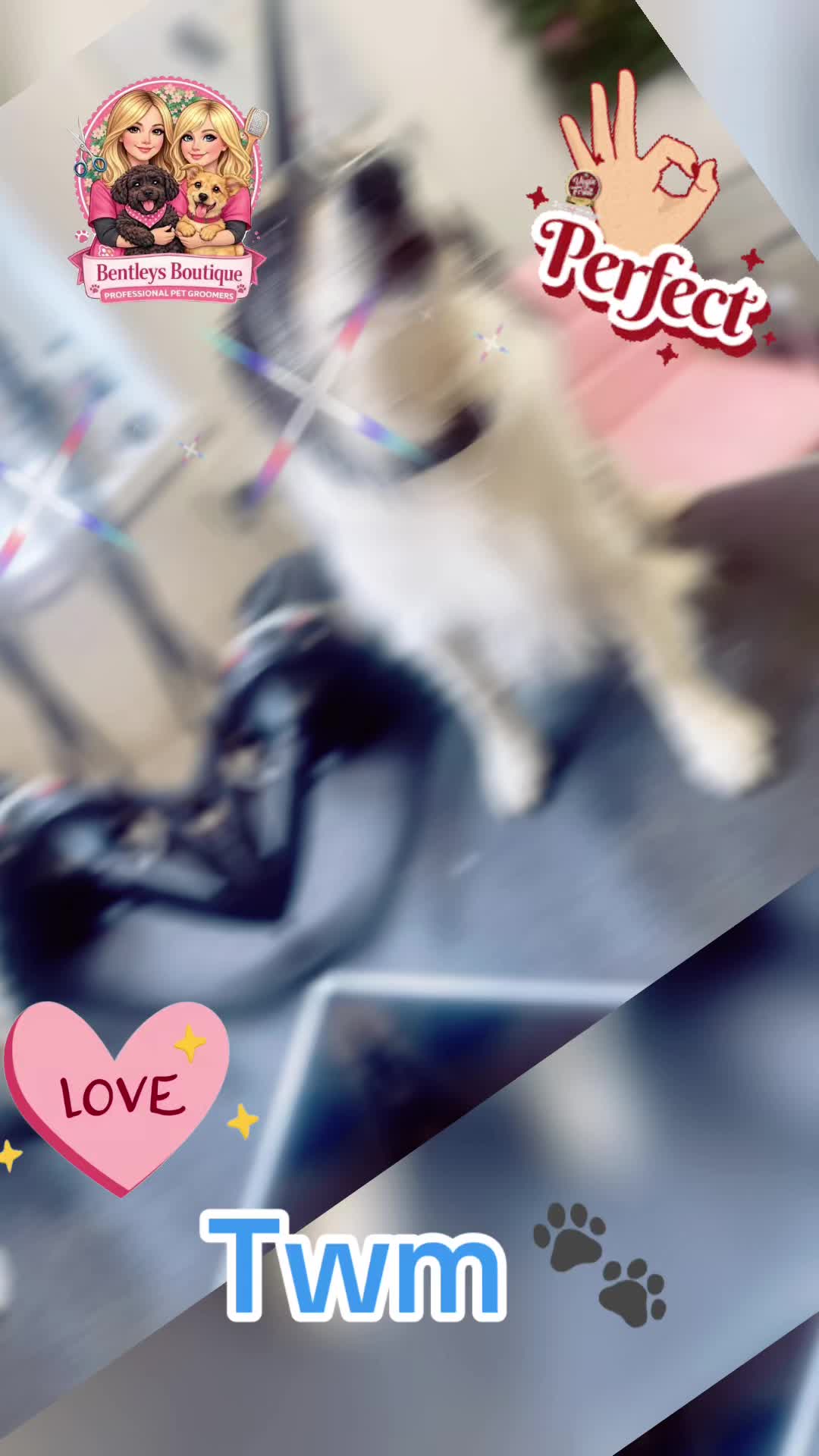 @Bentleys Boutique Pet Groomers