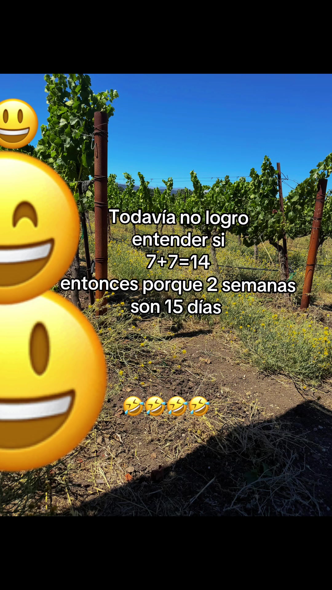 @Sandra Santiago