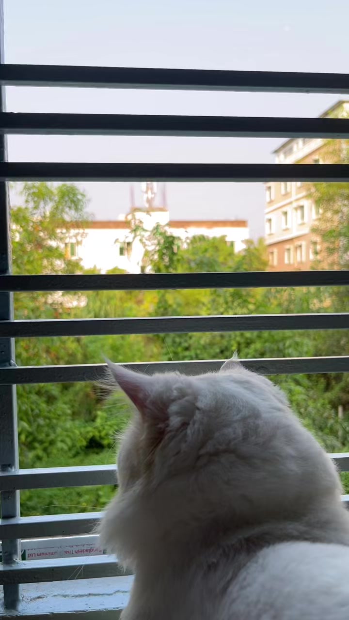 @🐇🐰elma... nohayet 🐈😸