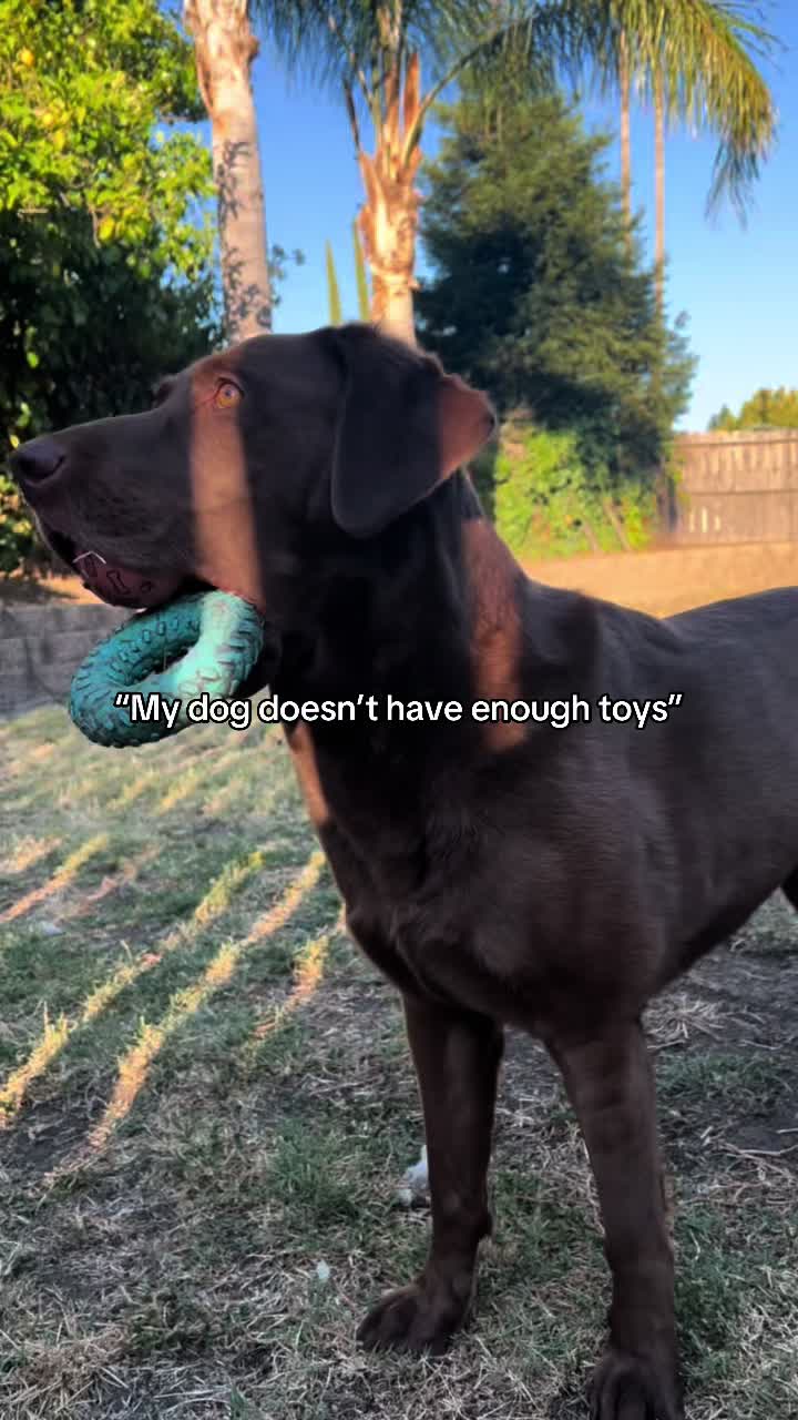 @The Chocolate Chonks 🤎