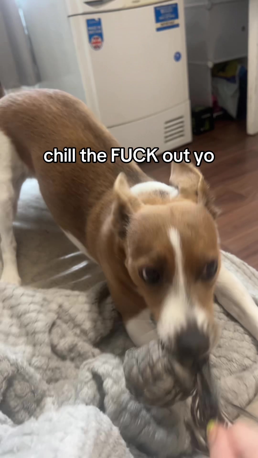 @sj ♫⃠