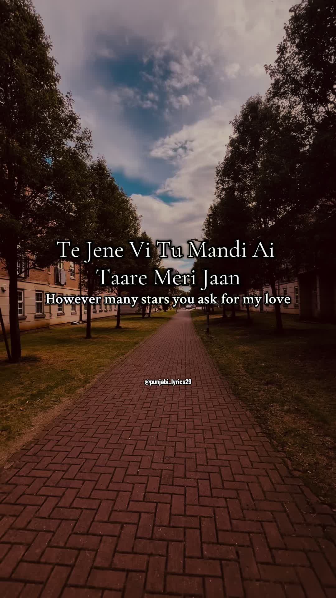 @punjabi_lyrics29