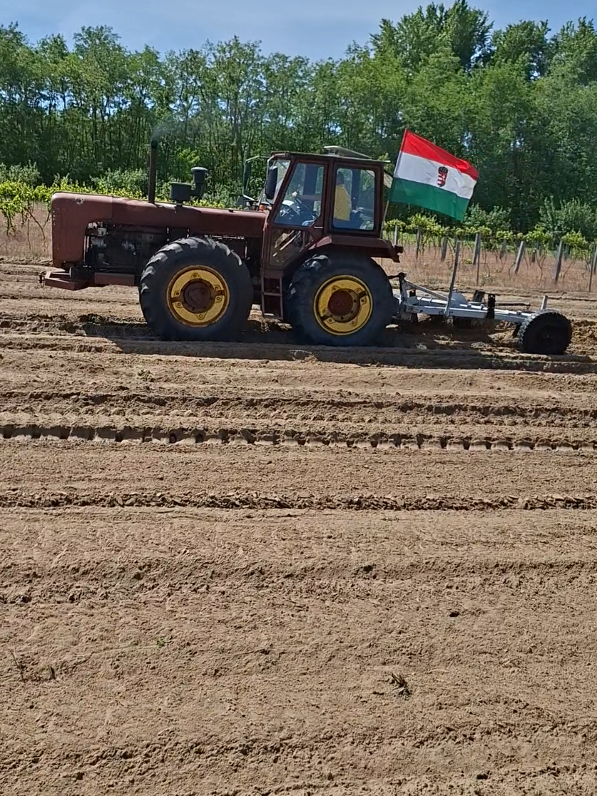 @Tamás Szántó