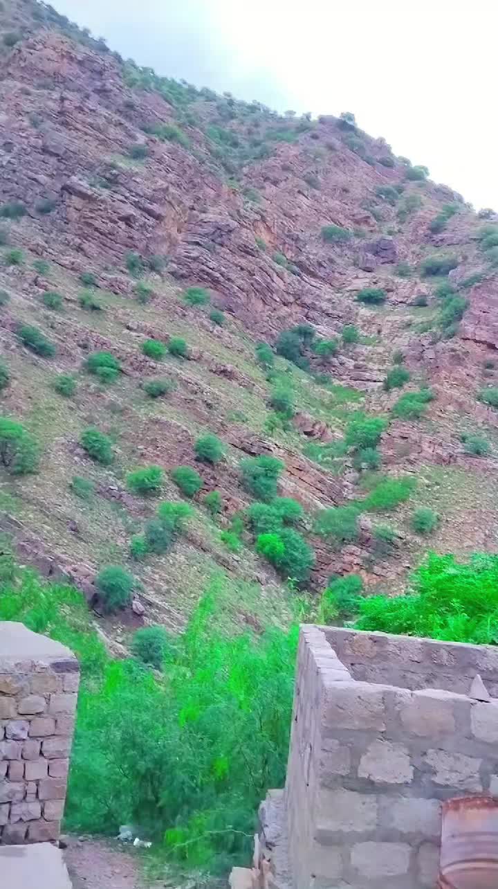 @Muhibkurd115