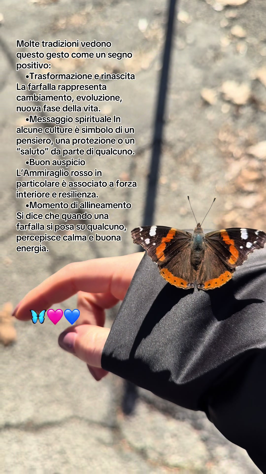 @_rxr93