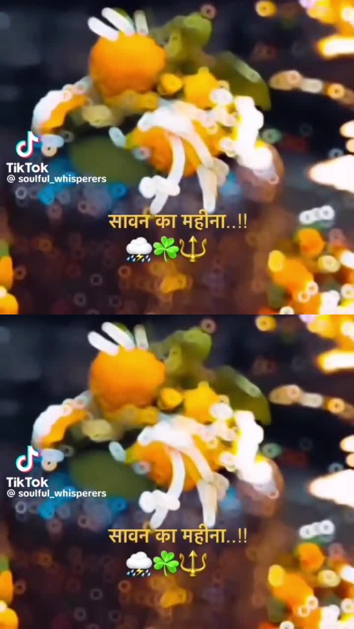 @sunita Rani