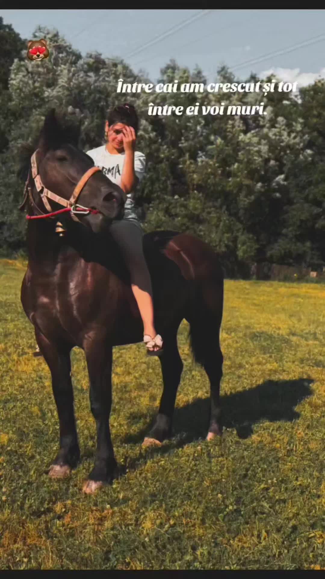 @👑alina🐎👑