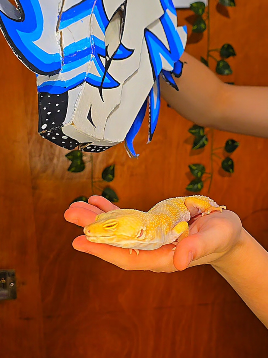 @ZosterDragon
