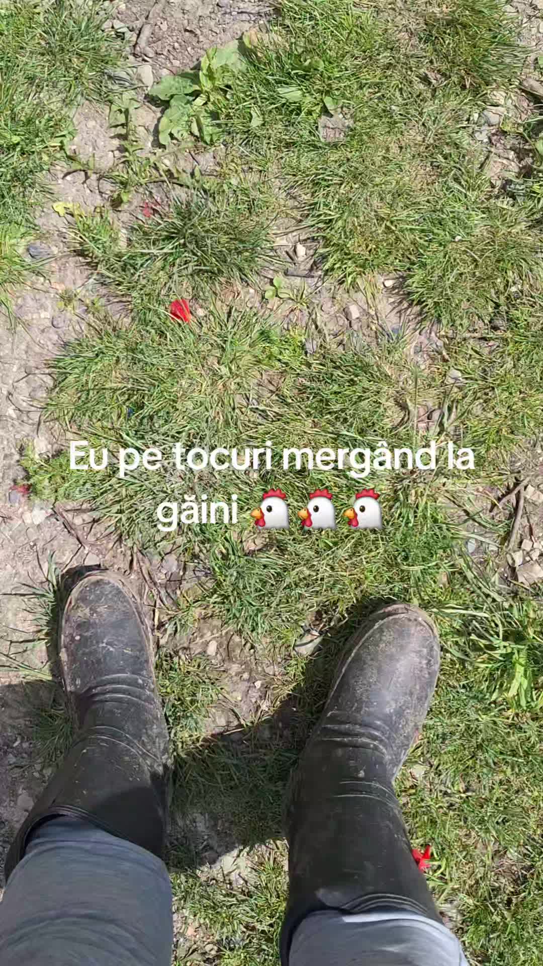 @Sorina
