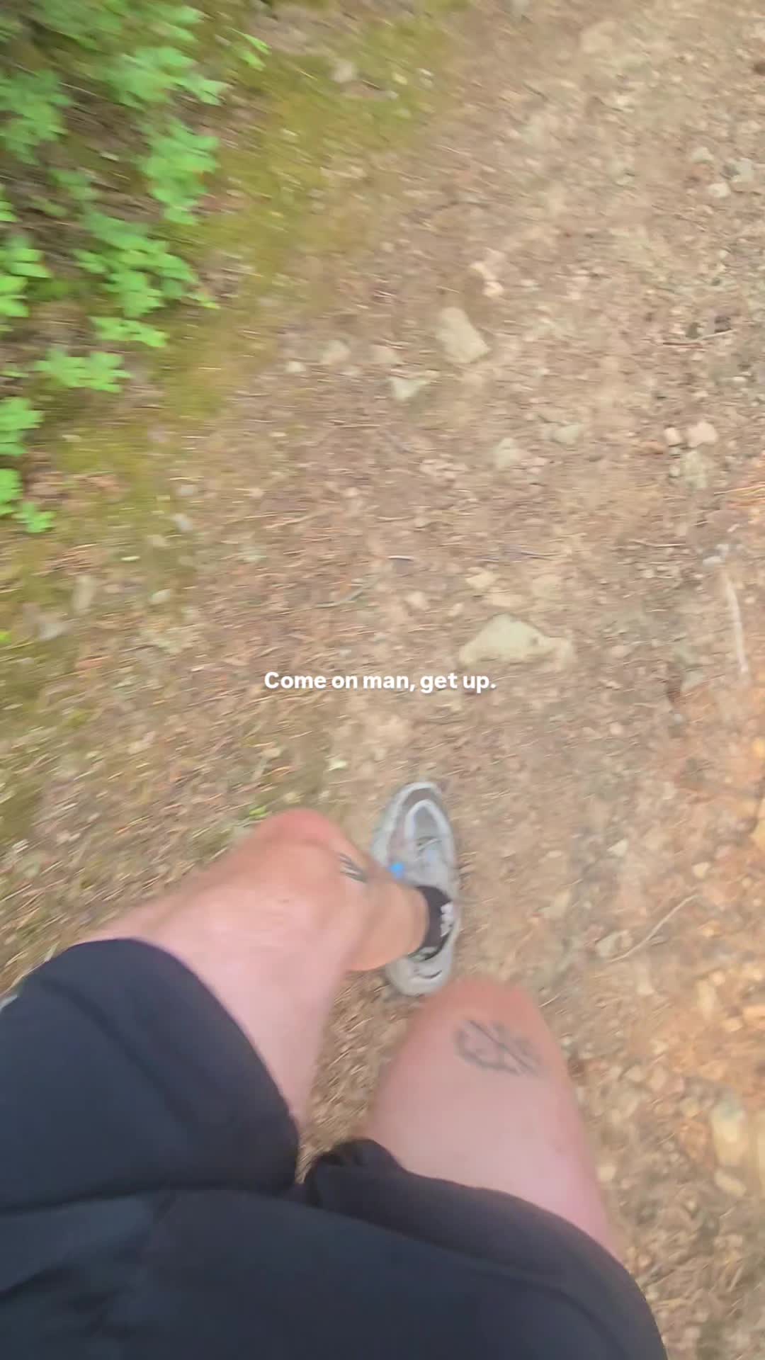 @Banff Trail Running & Wildlife