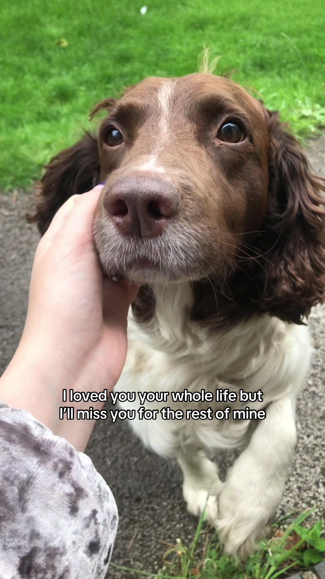 @annie