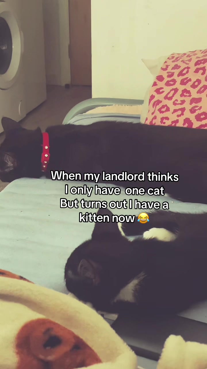 @ALL ABOUT ME ❤️