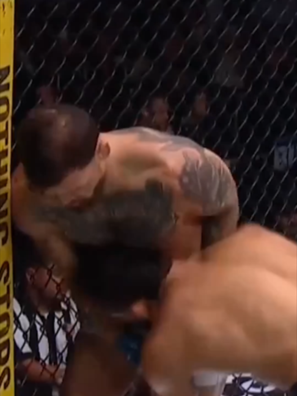 @TNT Fight Sports