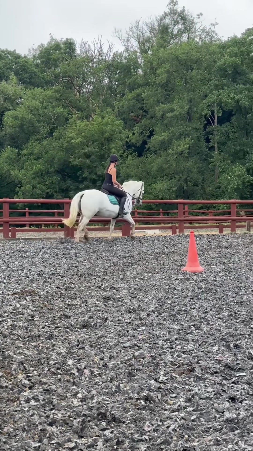 @amelia_showjumping2