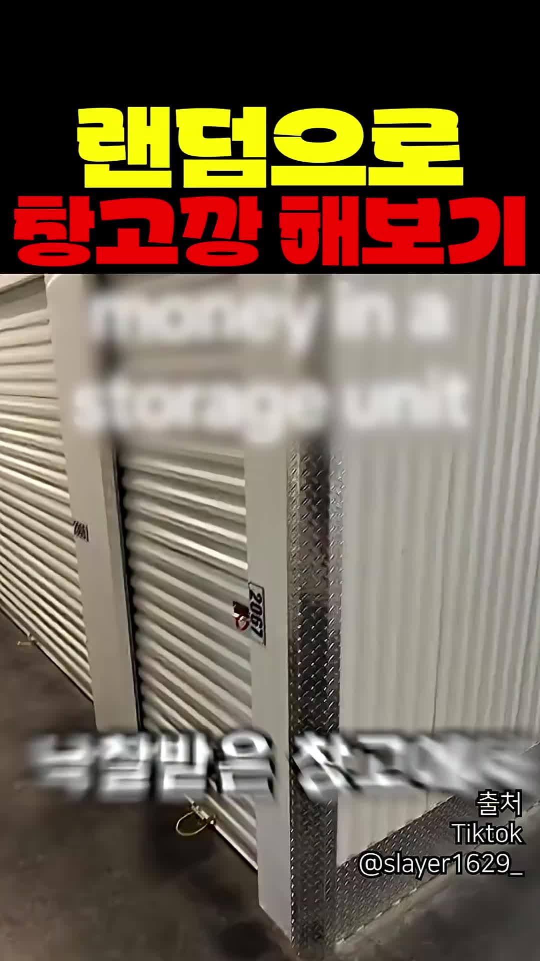 @짱아까미
