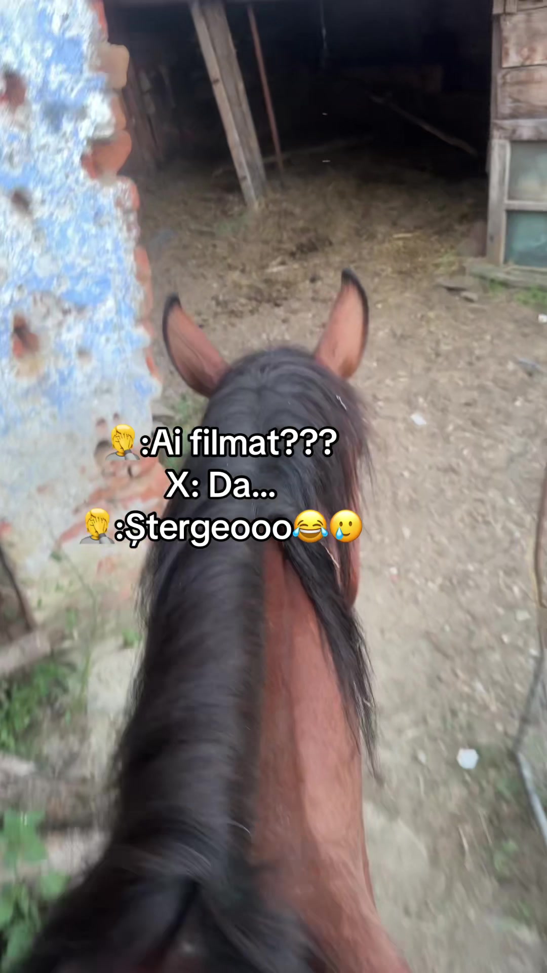 @♛༻༒𝓢𝓽𝓮𝓯𝓪𝓷༒༺♛