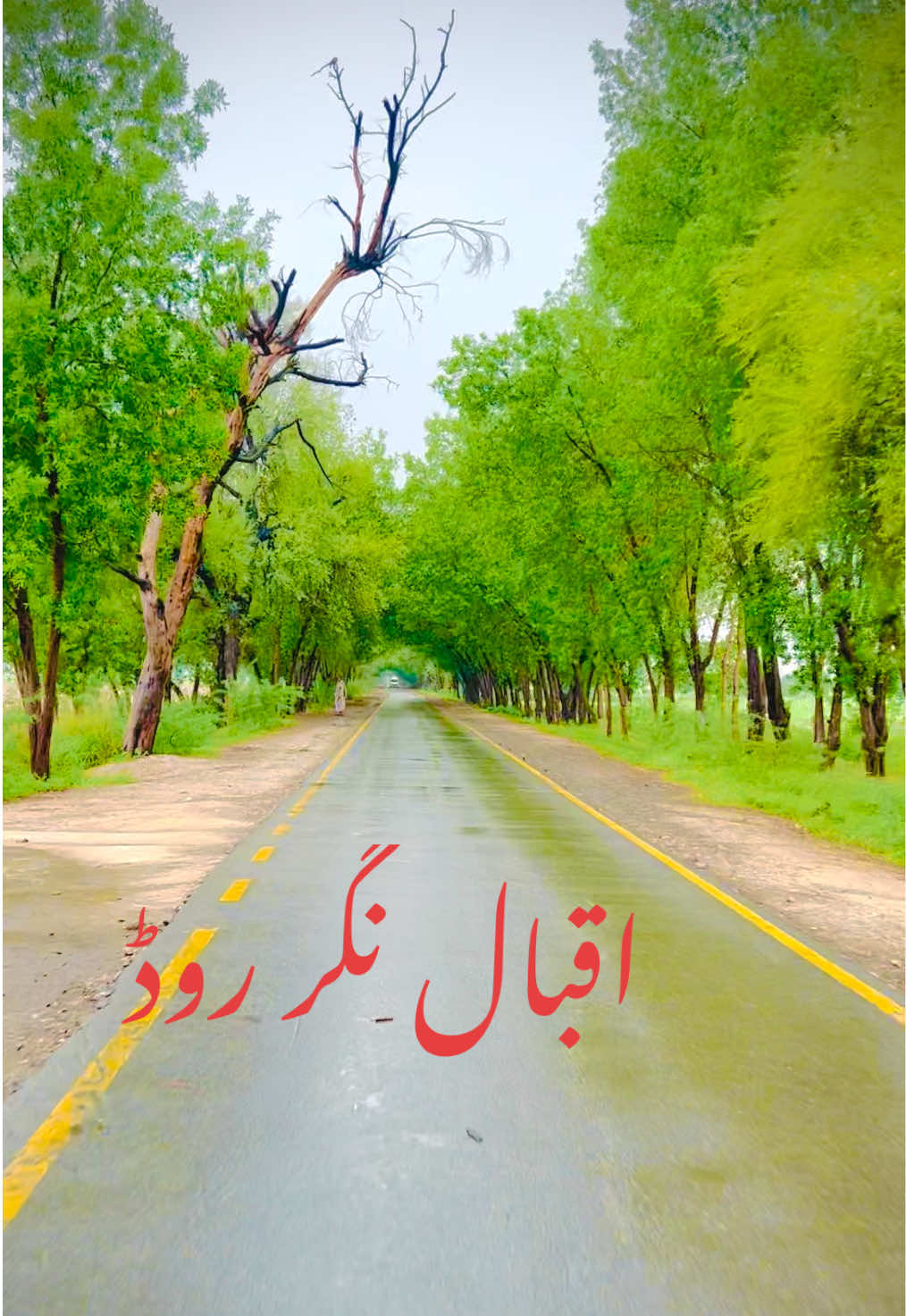 @میرا خوبصورت گاؤں