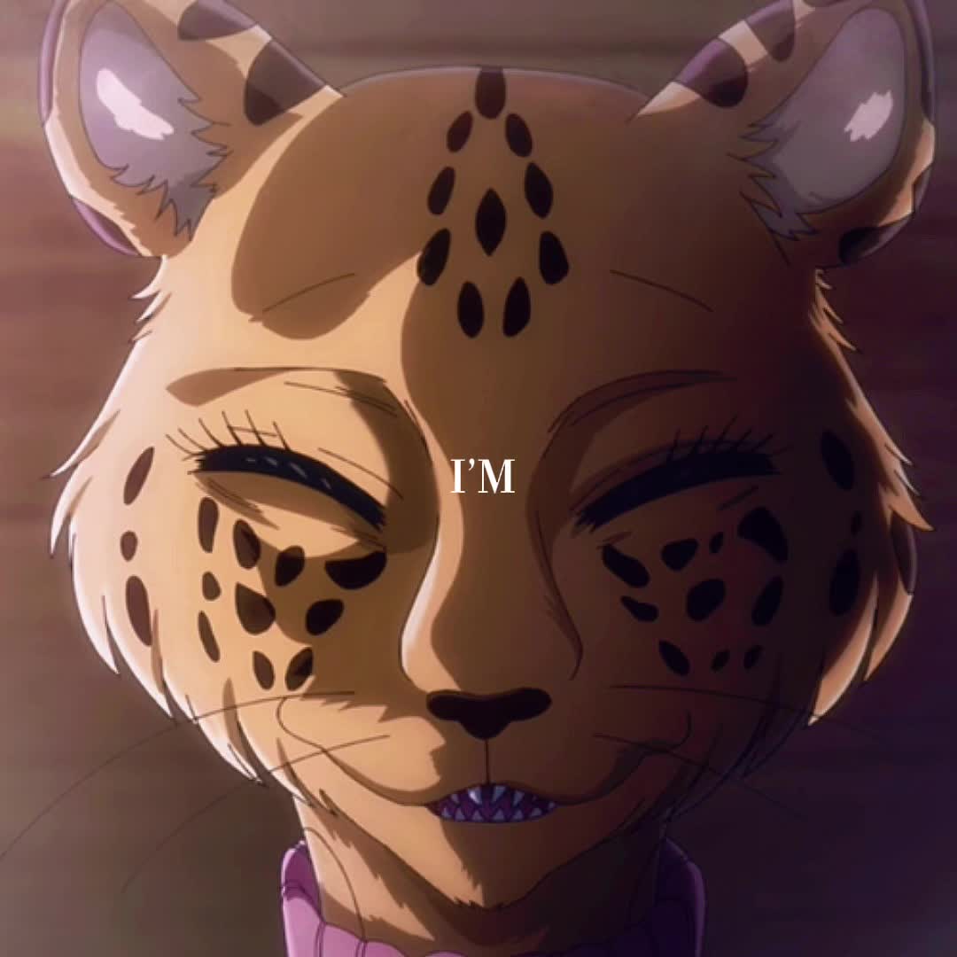@|🐾 &bull; ( 🦴 レゴシ 🦴 ) &bull; 🐺|