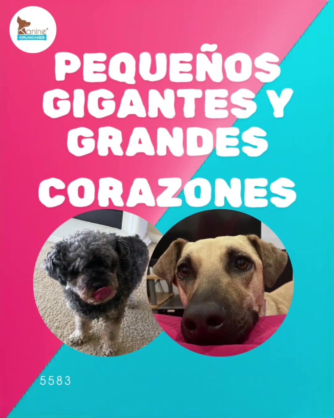 @Kanine Krunchies