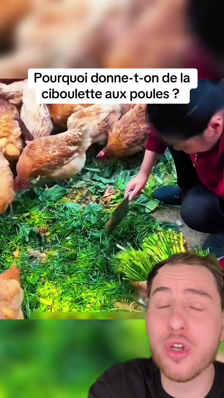 @lucasenparle