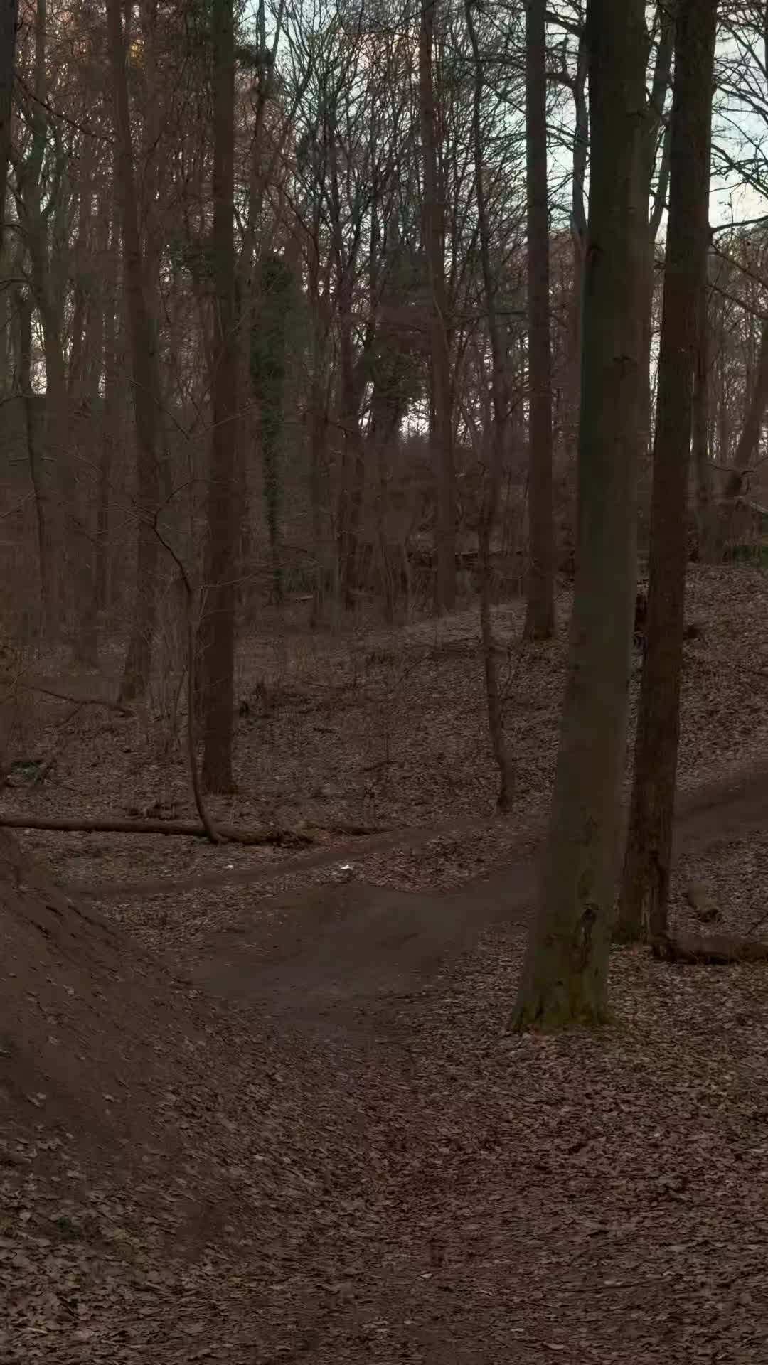 @Levi._.fr🦅🇩🇪