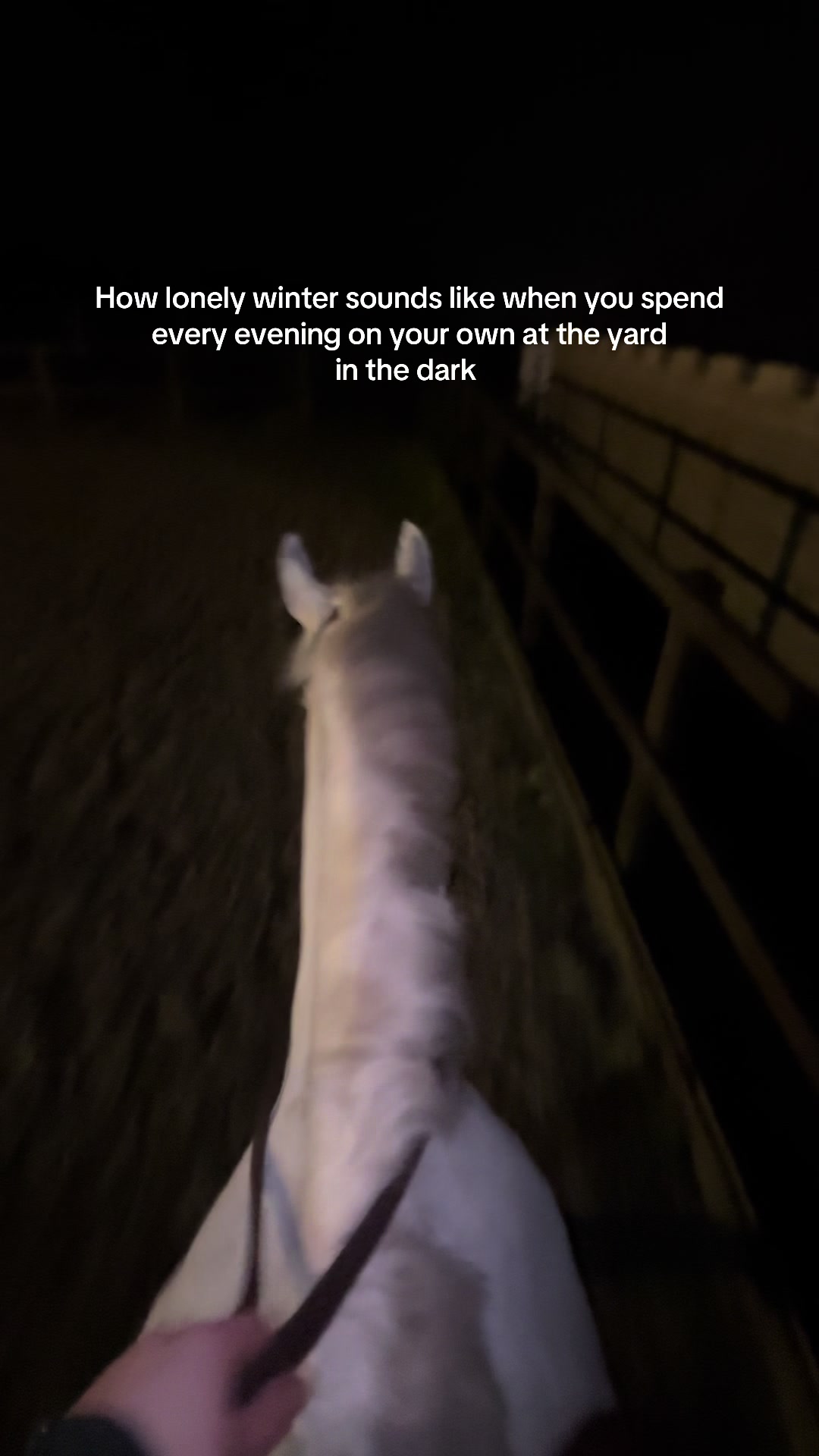 @Abby & Harry 🦄