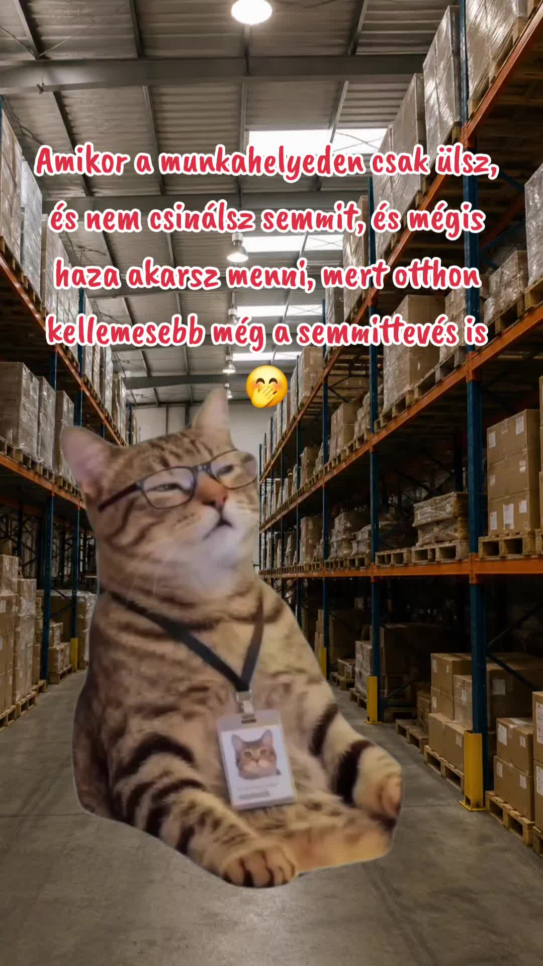 @Szabi 🇩🇪