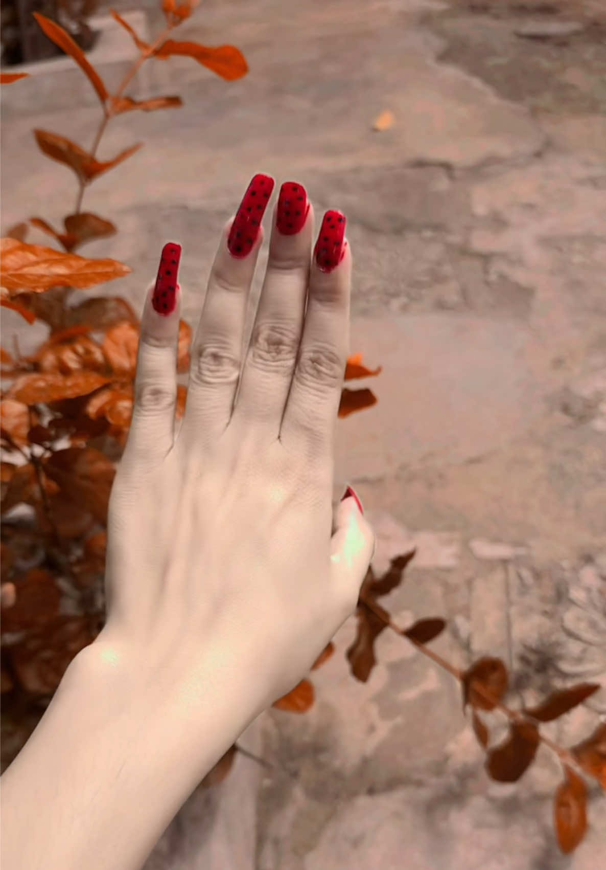 @🍁Hina🍁🥇ᴬᴷ ᴹᵉᵈⁱᵃ