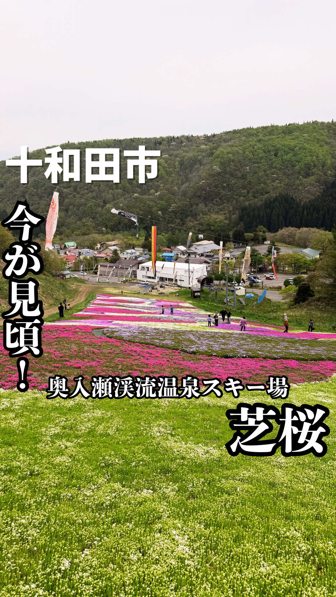 @海広_青森