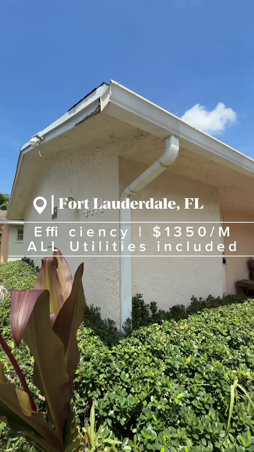 @Mona | FL REALTOR®