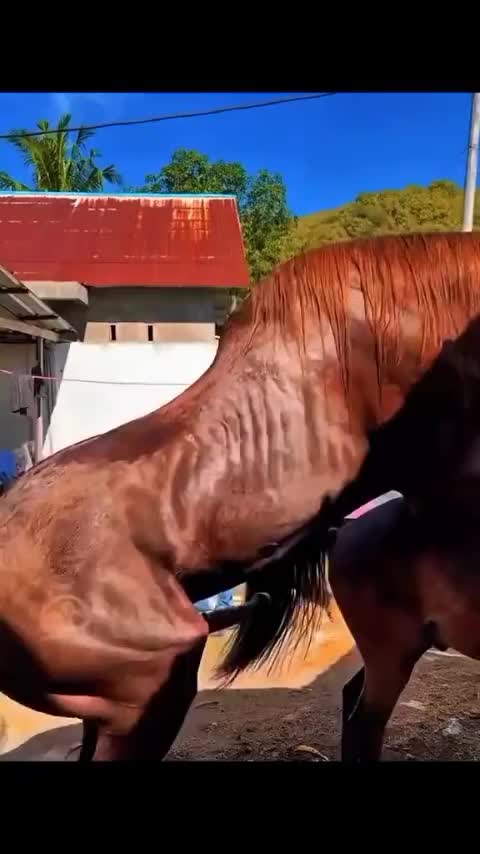 @DilKiPyas