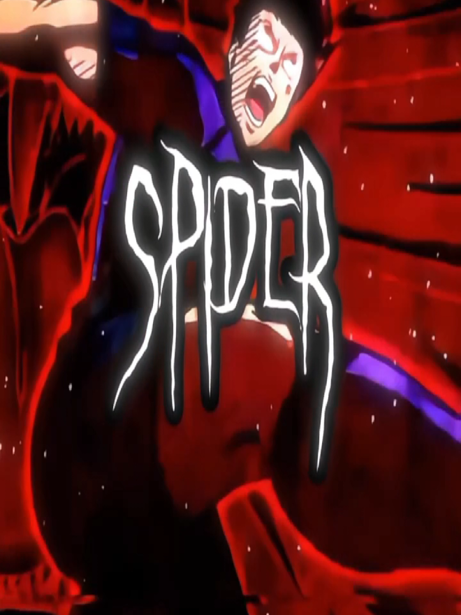 @𝑷 | Spider