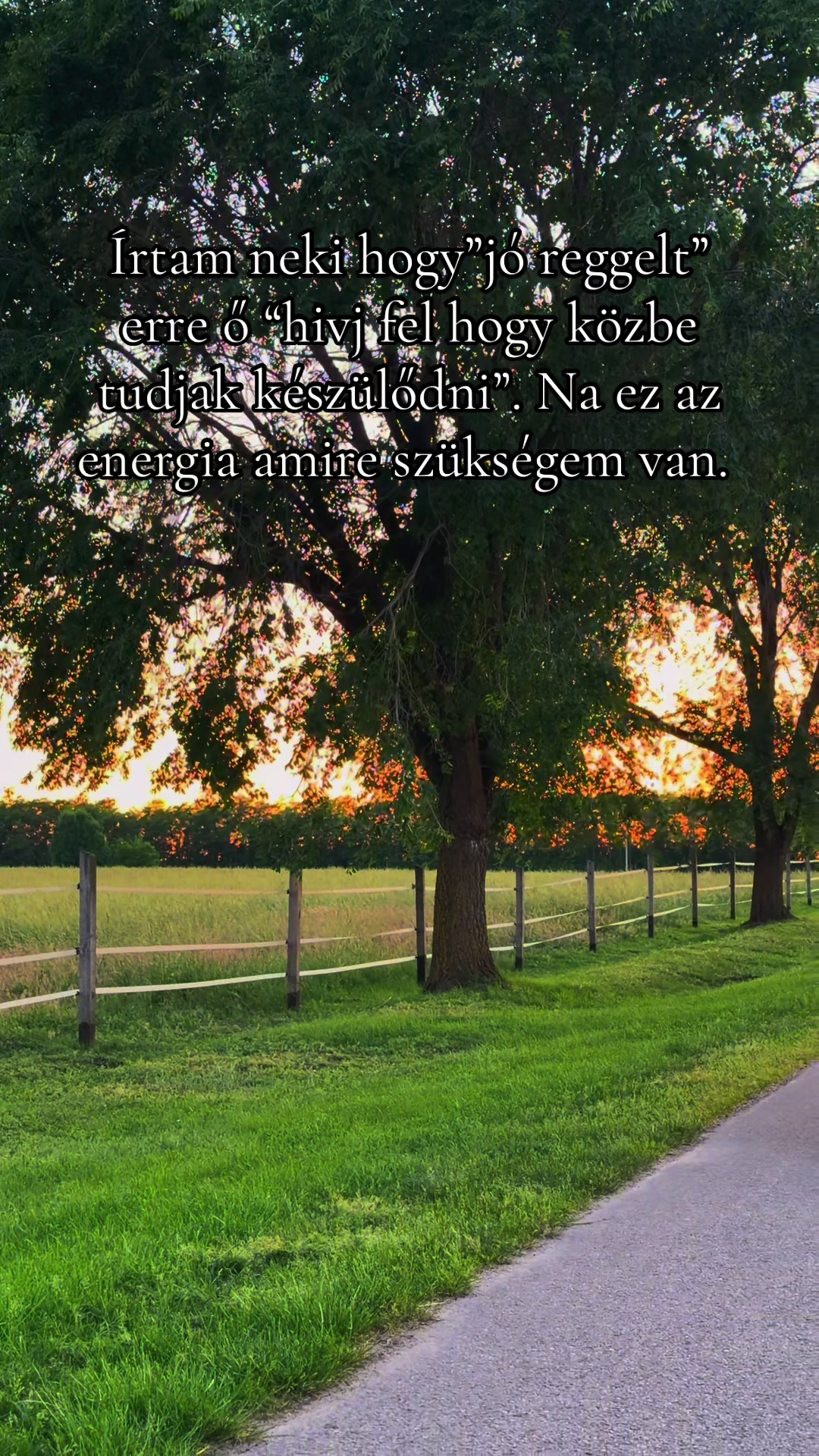 @Gábor Vaskó