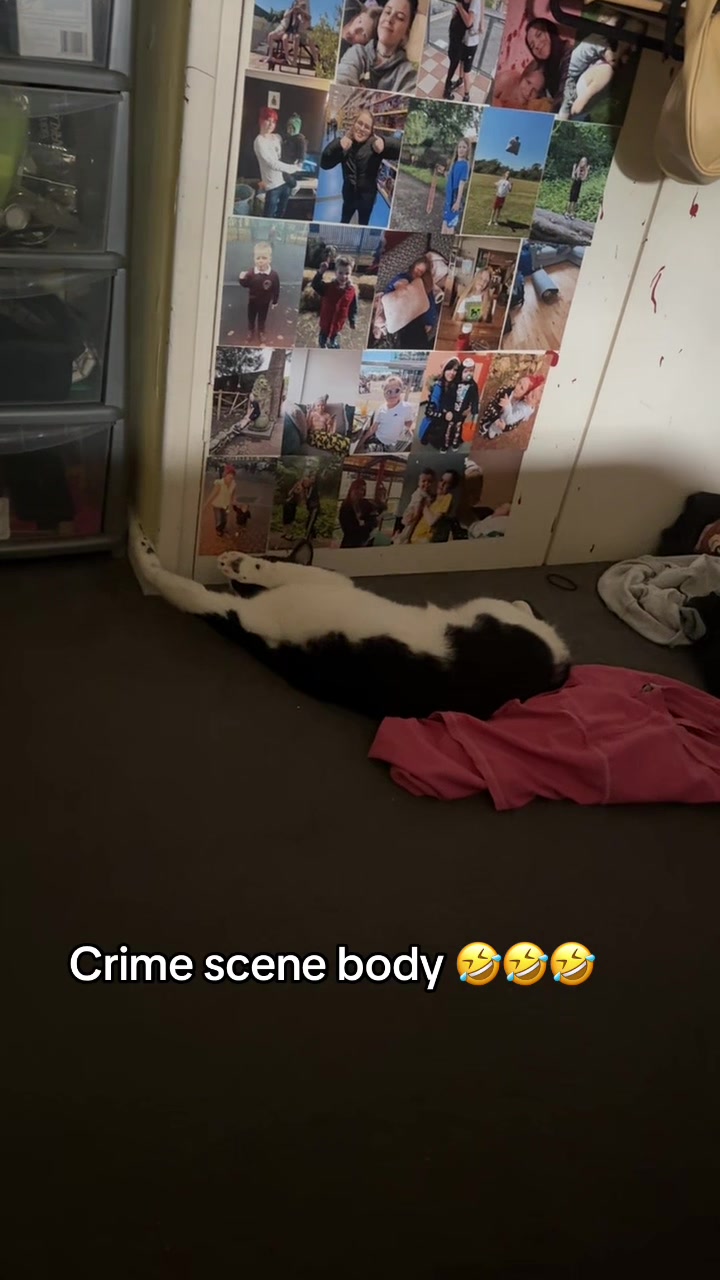 @Paigeyy